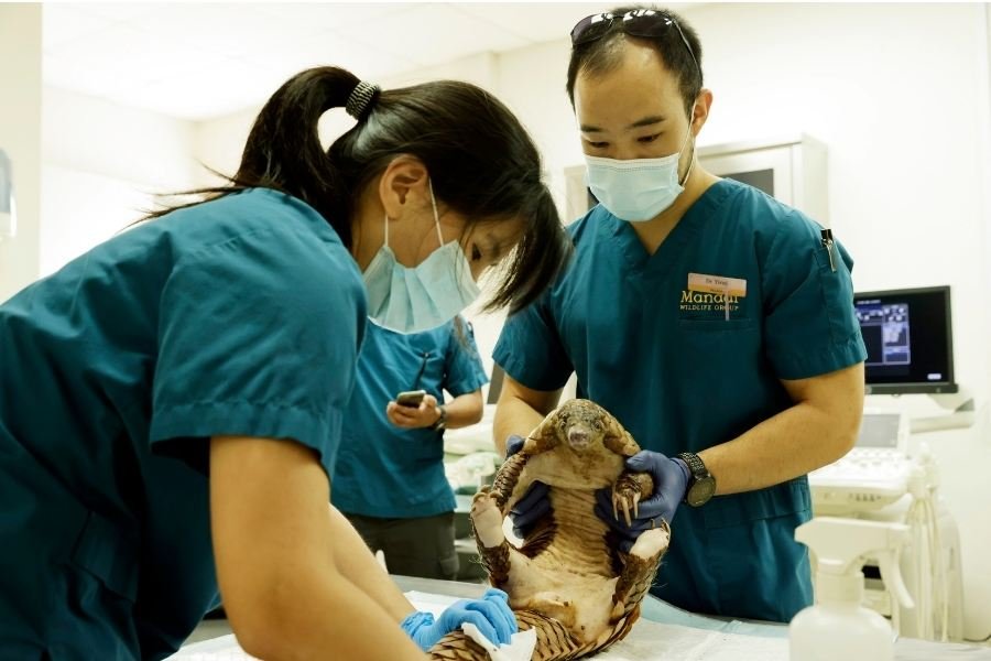 Top-up for Conservation
