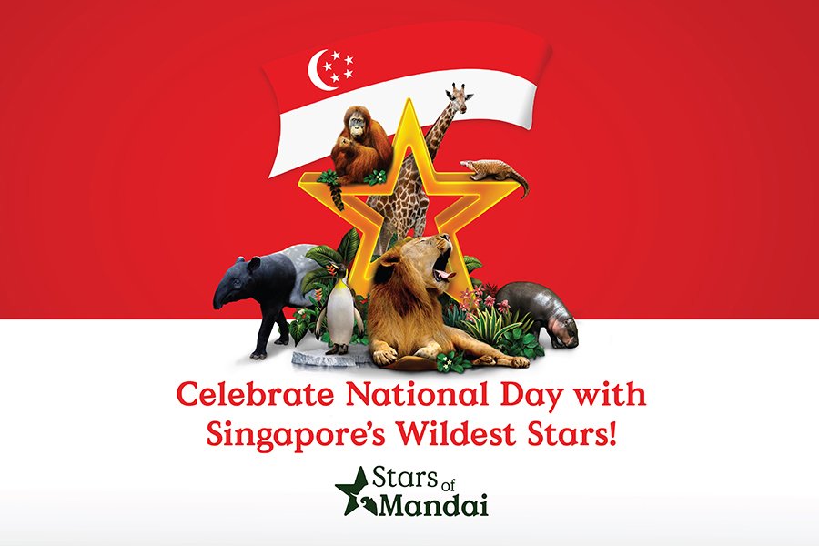 Celebrate with the Stars of Mandai